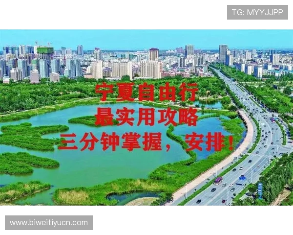 优化B体育登录体验的实用建议，提升登录速度与账户安全保障